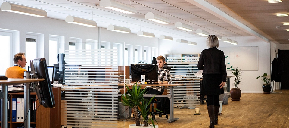 3.1. Company Incorporation and Corporate Structuring